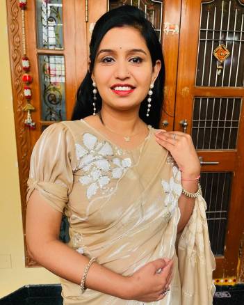 BT1244 BY BT DESIGNER SILK SAREE WHOLESALER IN INDIA